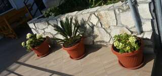 Апартаменты Apartments Popovic Улцинь Апартаменты-студио с балконом и видом на море-5