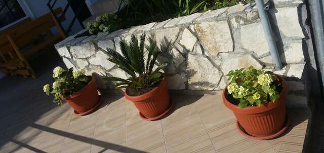 Апартаменты Apartments Popovic Улцинь-28